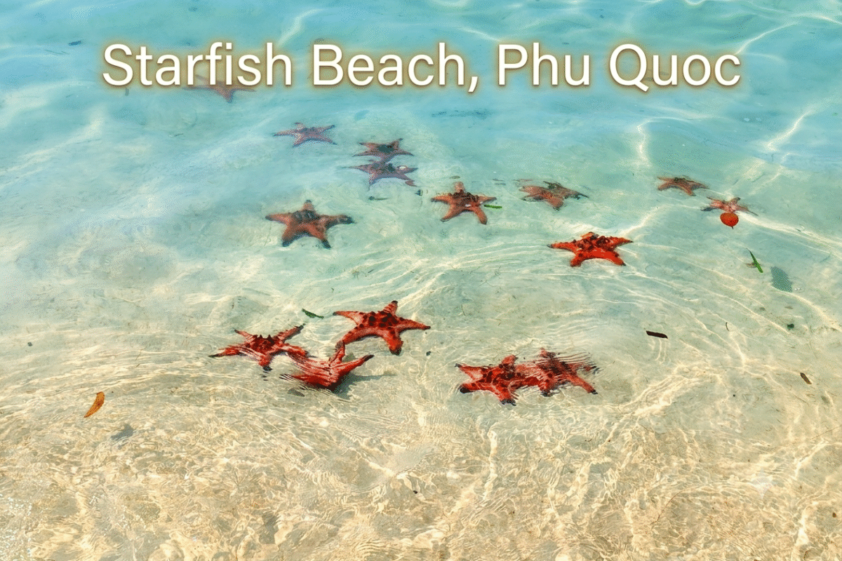 Starfish Beach