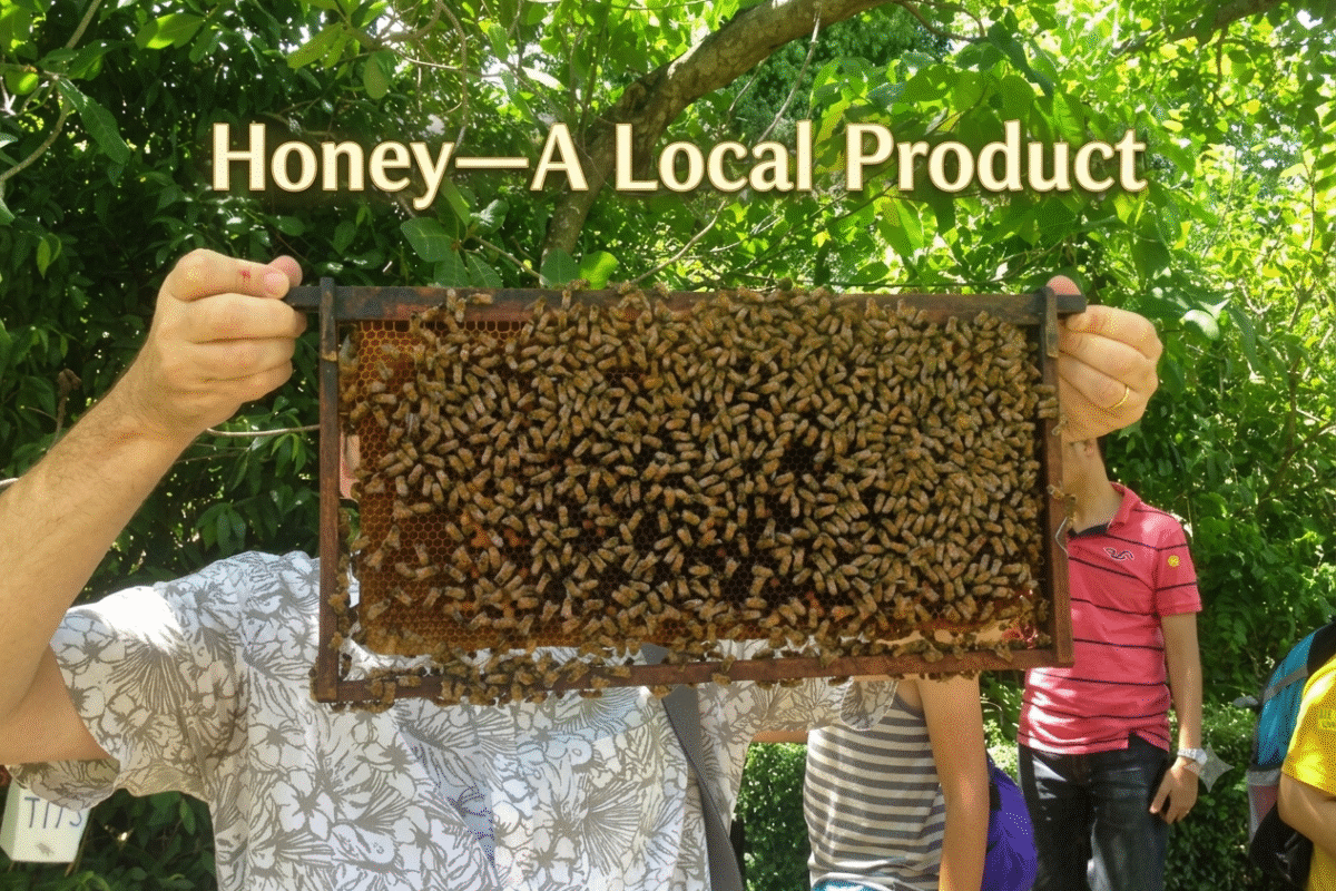 Honey
